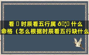 看 ☘ 时辰看五行属 🦍 什么命格（怎么根据时辰看五行缺什么）